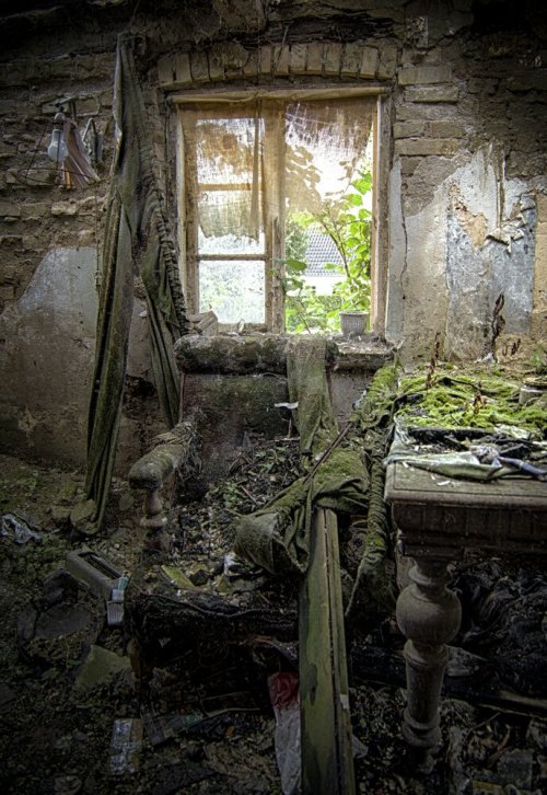 9755724346_0342406d0b_b.jpg image